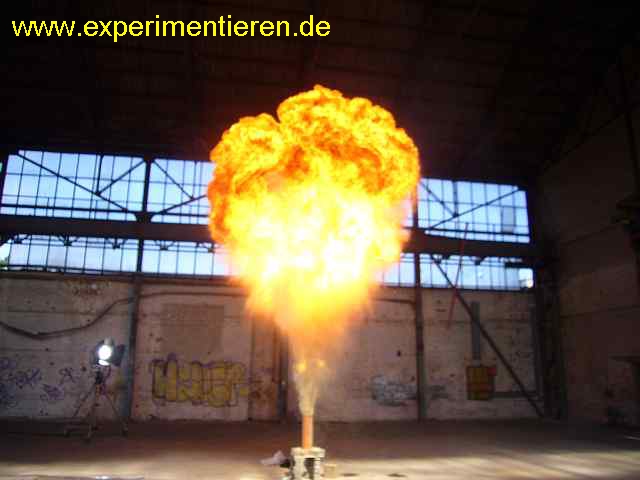 www.experimentieren.de